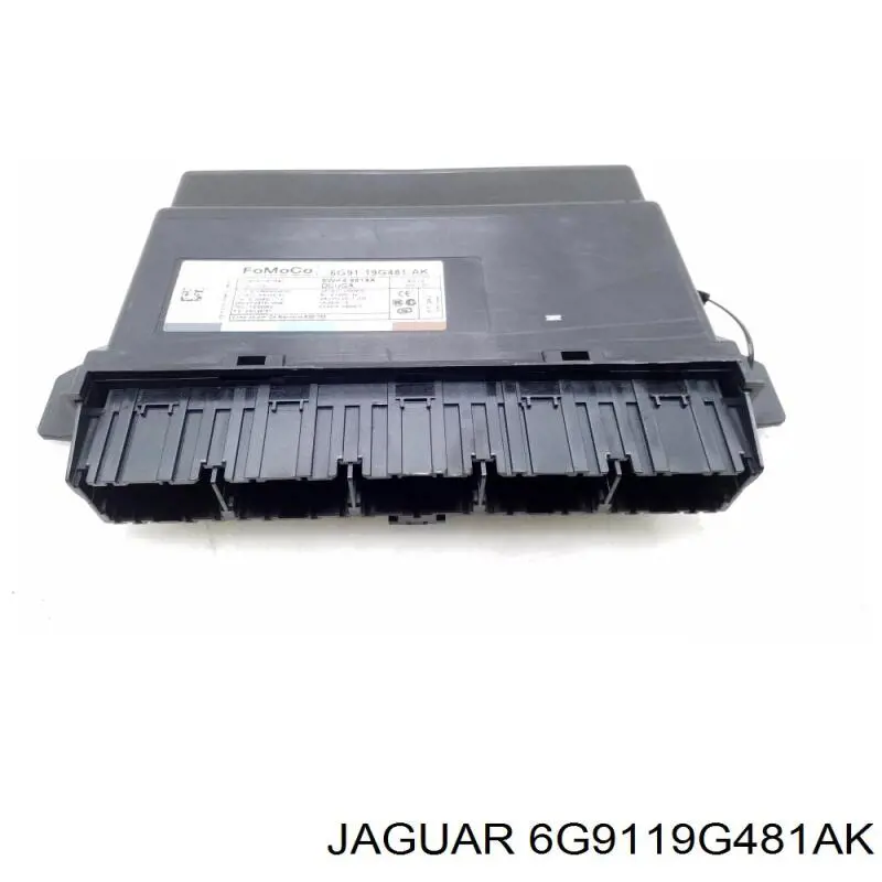  6G9119G481AK Jaguar