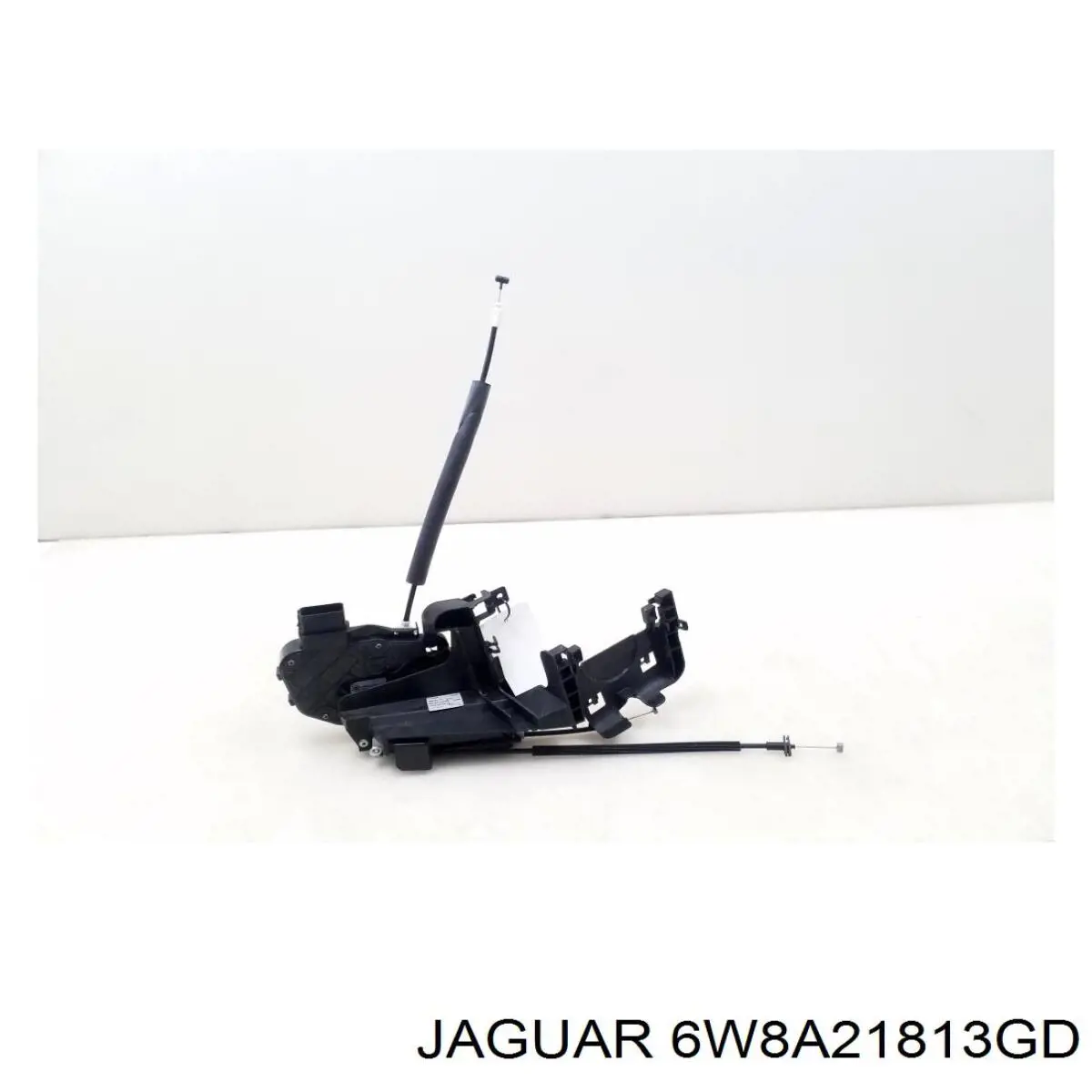 6W8A21813GD Jaguar 