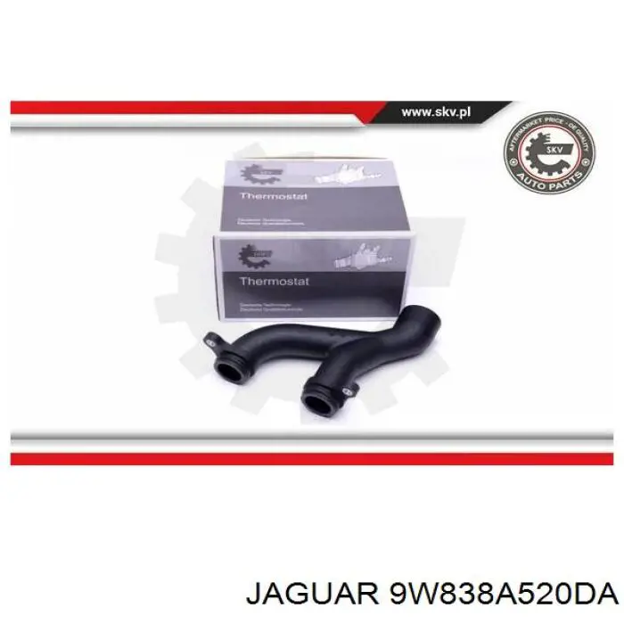  9W838A520DA Jaguar