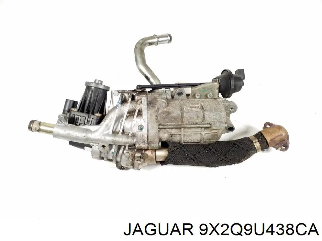  9X2Q9U438CA Jaguar