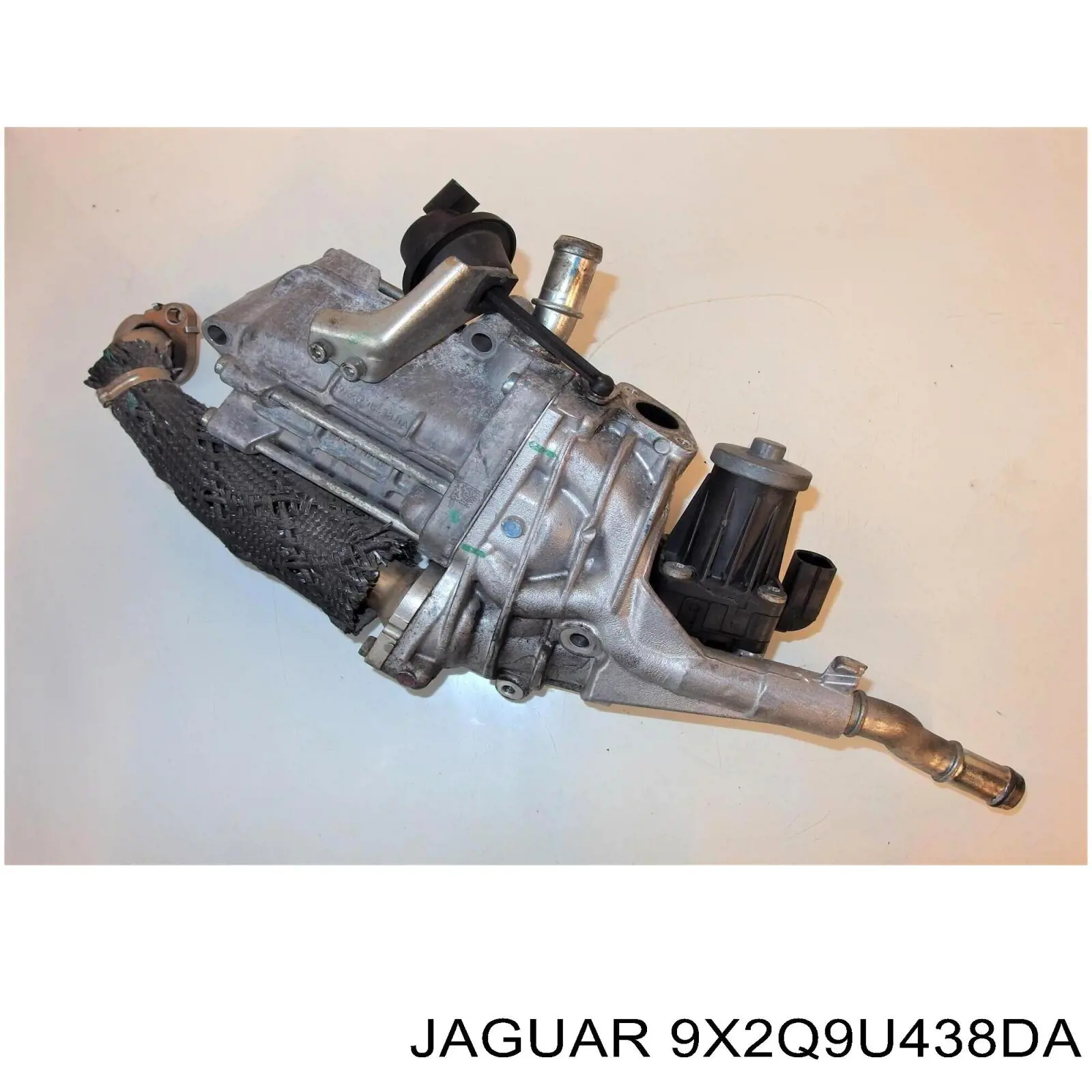 9X2Q9U438DA Jaguar 