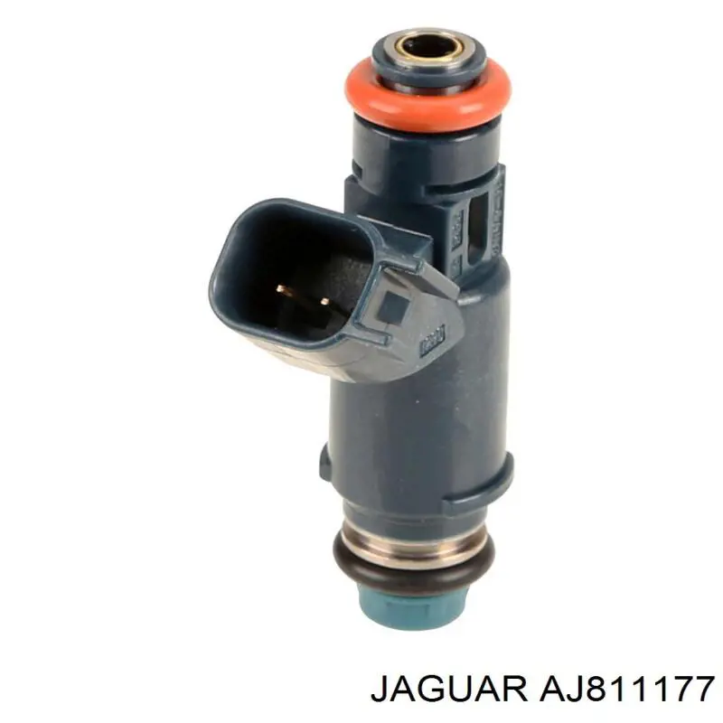 AJ811177 Jaguar форсунки