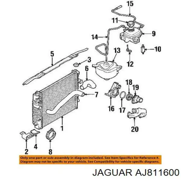 AJ811600 Jaguar