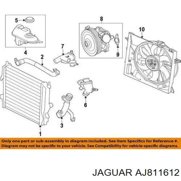 AJ811612 Jaguar прокладка водяной помпы