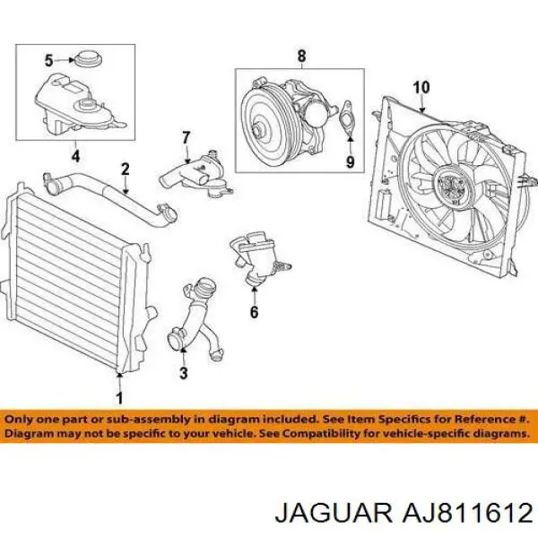 Прокладка водяной помпы AJ811612 Jaguar