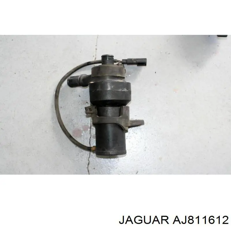AJ811612 Jaguar Прокладка водяного насоса