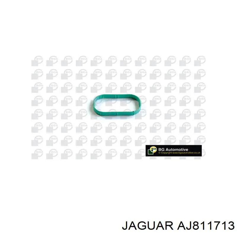 AJ811713 Jaguar