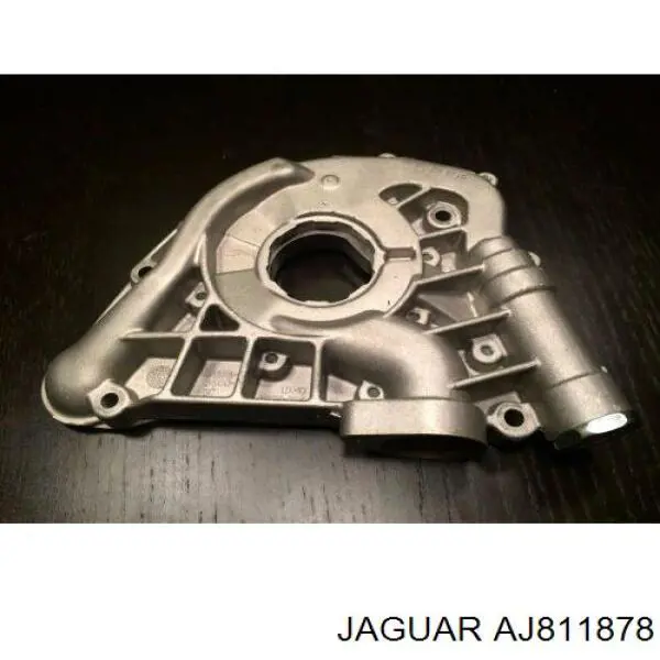 AJ811878 Jaguar 