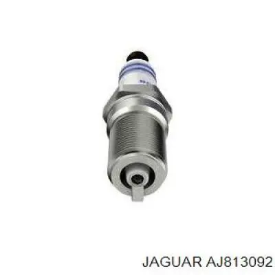 AJ813092 Jaguar Свечи зажигания