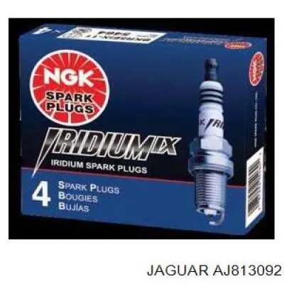 Свеча зажигания Jaguar AJ813092 цена, от 11.81 USD