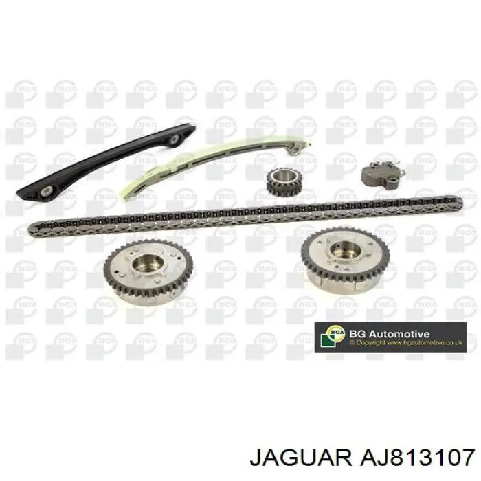 AJ813107 Jaguar 