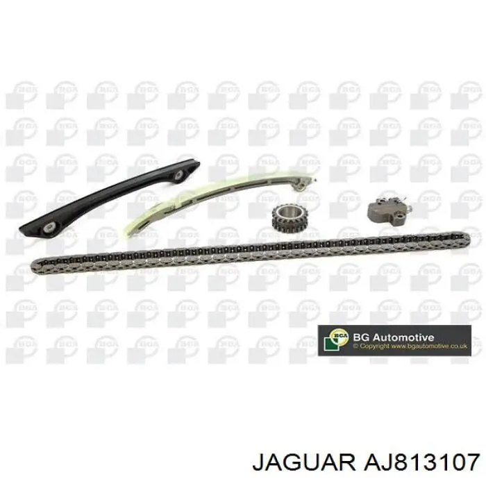 AJ813107 Jaguar 