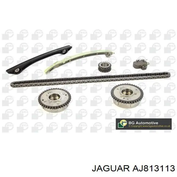 AJ813113 Jaguar