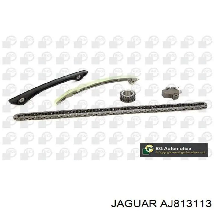 AJ813113 Jaguar 