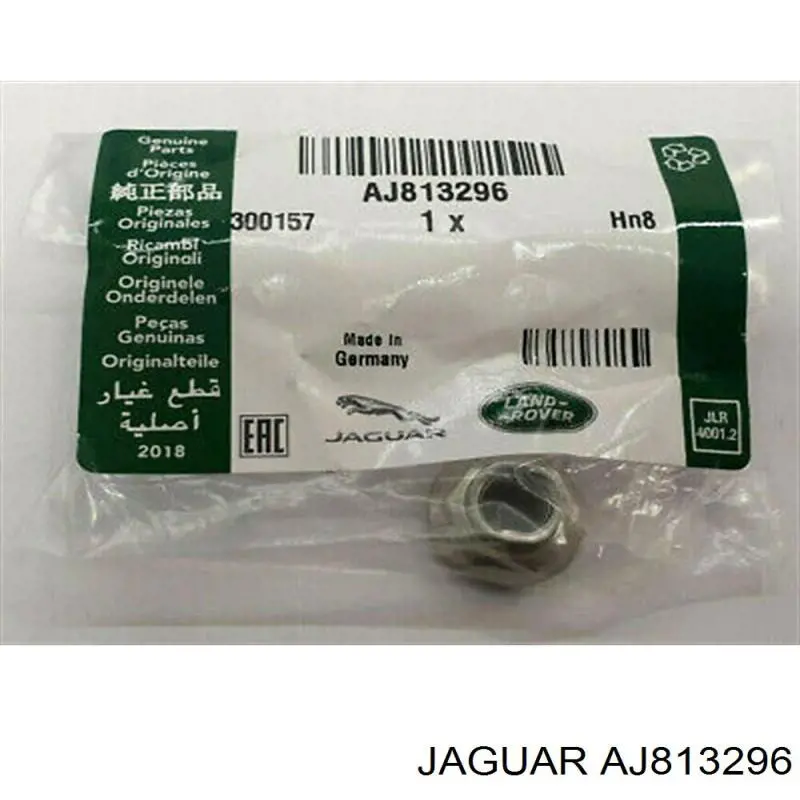  AJ813296 Jaguar