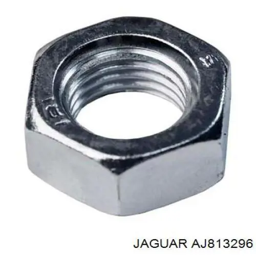  AJ813296 Jaguar