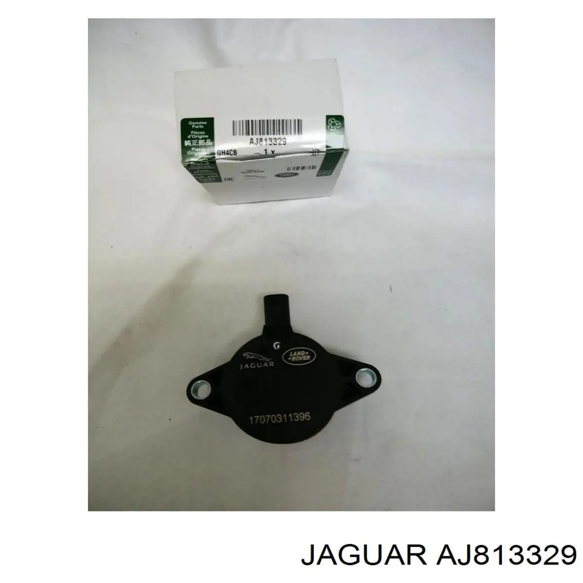 T4N32636 Jaguar 