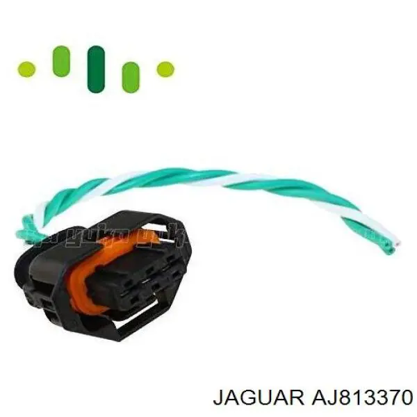 AJ813370 Jaguar Распределитель топлива