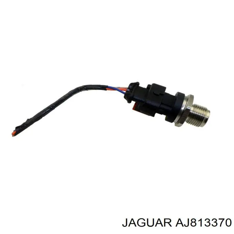  AJ813370 Jaguar