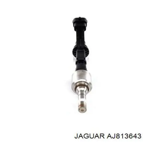  AJ813643 Jaguar