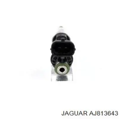 Форсунка инжектора Jaguar AJ813643 цена, от 105.81 USD