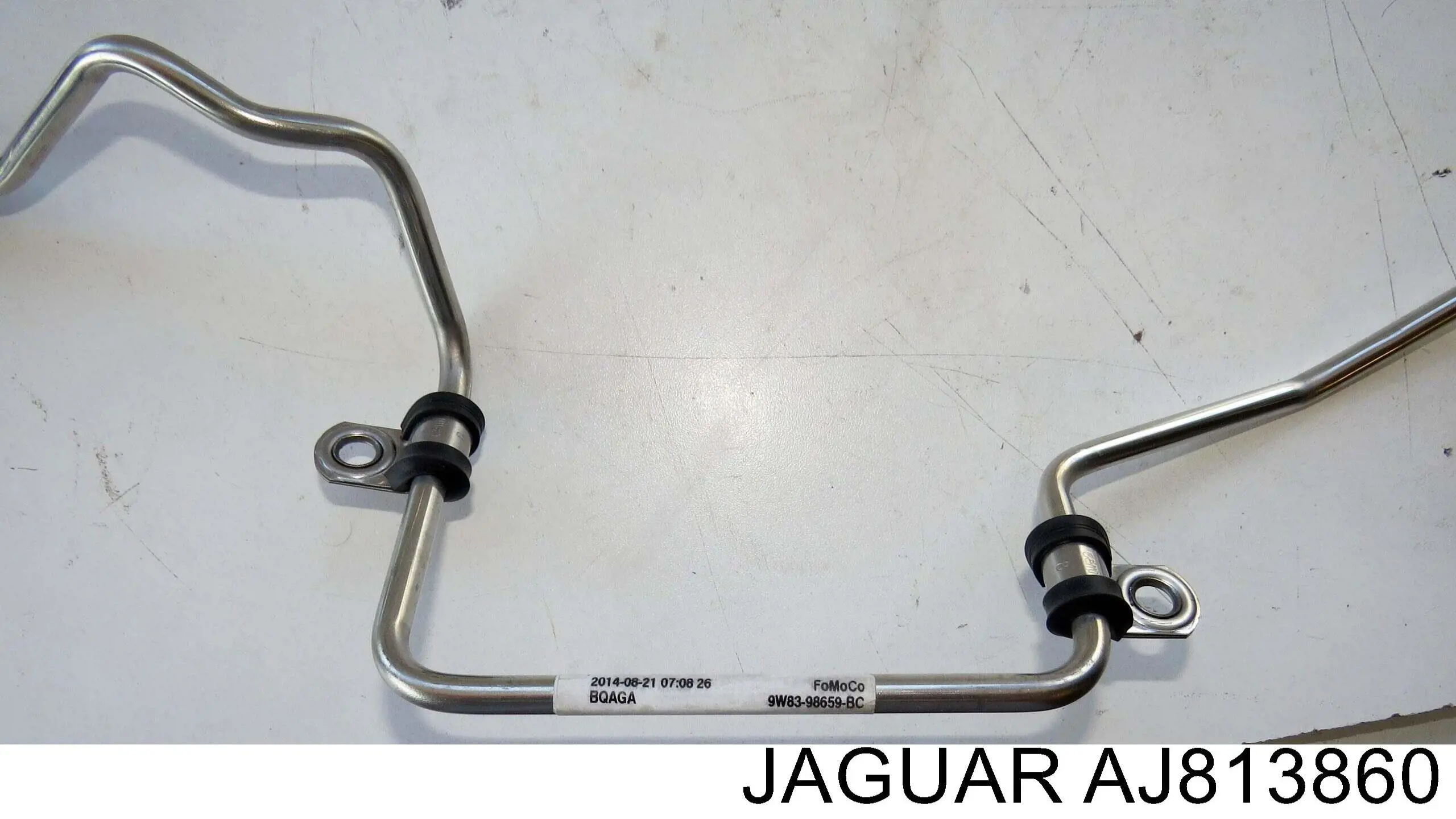 C2Z30819 Jaguar 