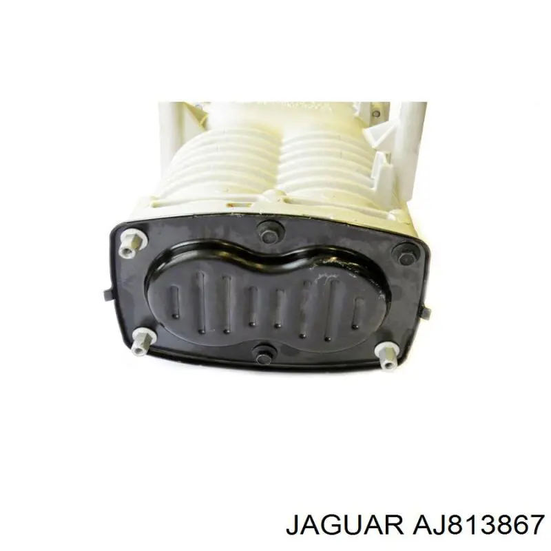Компрессор наддува воздуха двигателя AJ813867 Jaguar