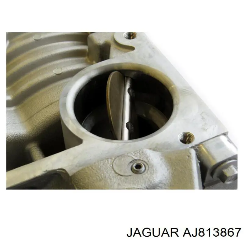 Купить C2Z22507 Jaguar Воздушный компрессор