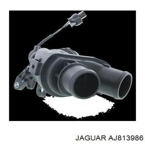 C2Z31236 Jaguar