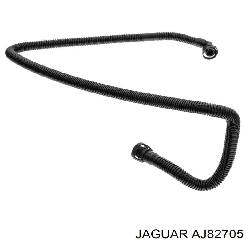 AJ82705 Jaguar 