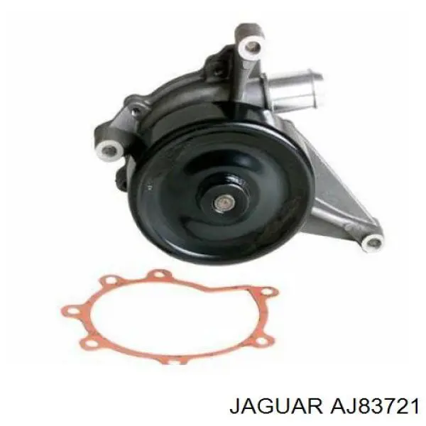  AJ83721 Jaguar