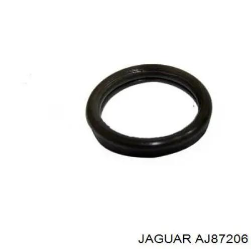 AJ87206 Jaguar 