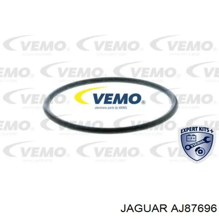  Jaguar AJ811788 цена, от 77.85 USD