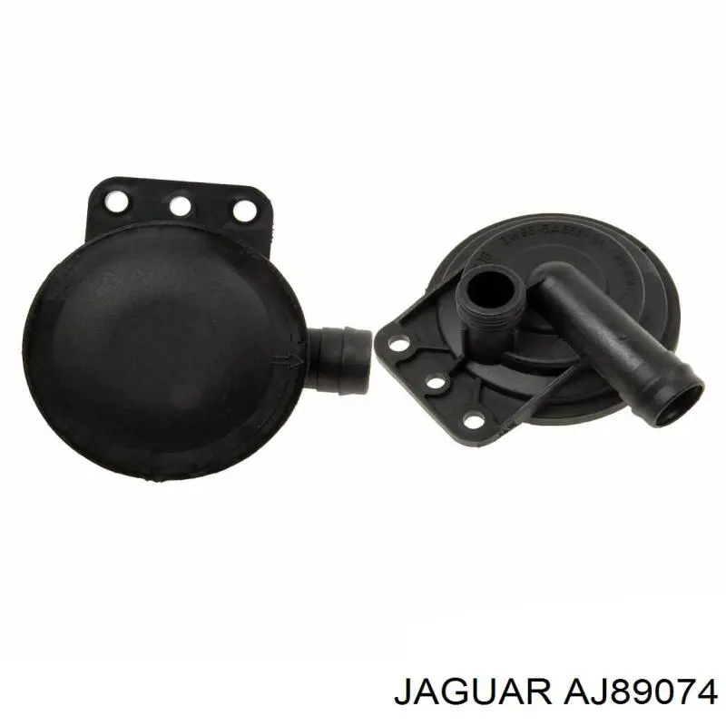  AJ89074 Jaguar