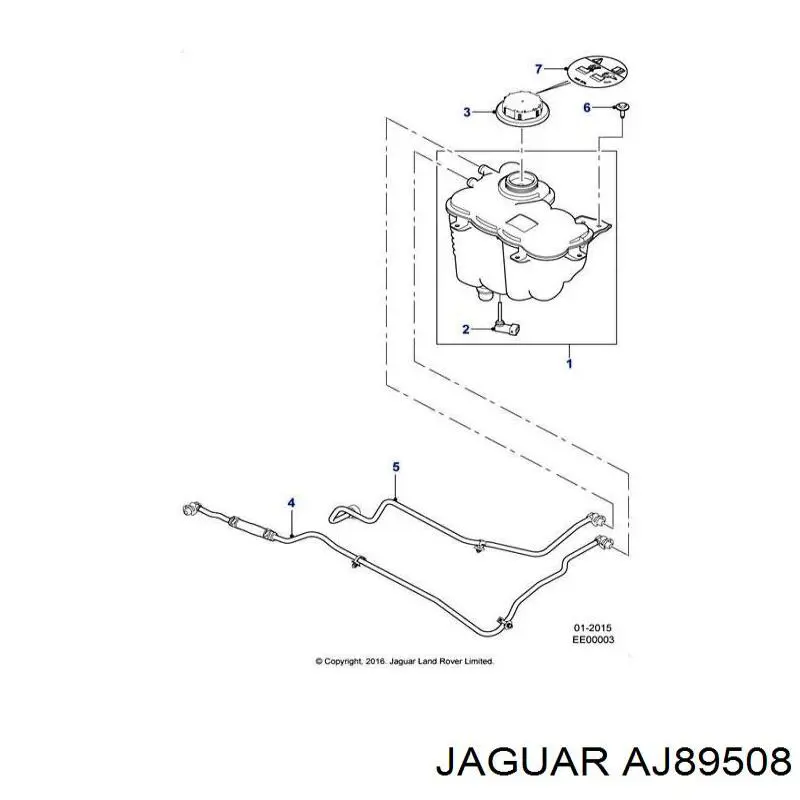 AJ89508 Jaguar 