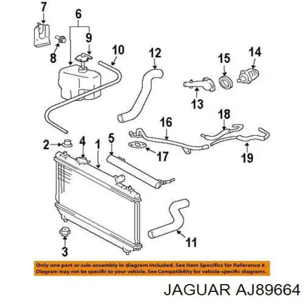 Купить AJ89664 Jaguar 