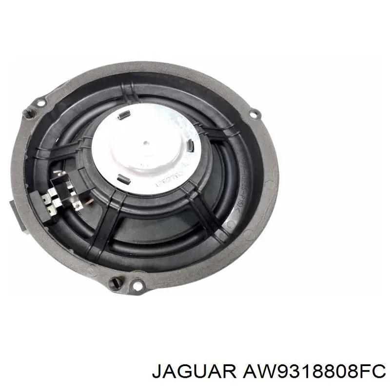  Jaguar AW9318808FC цена, от 29.14 USD