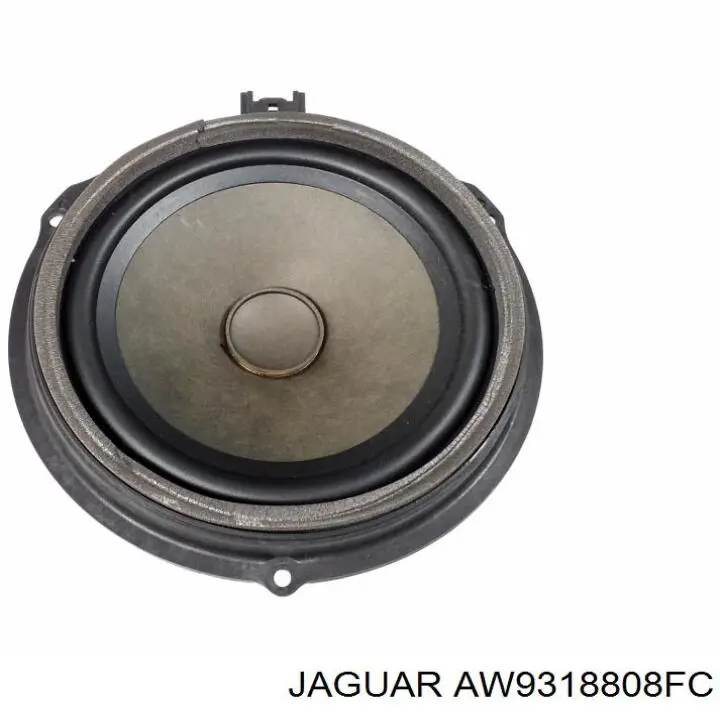  AW9318808FC Jaguar