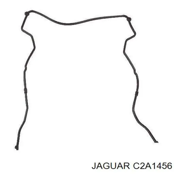 C2A1456 Jaguar 