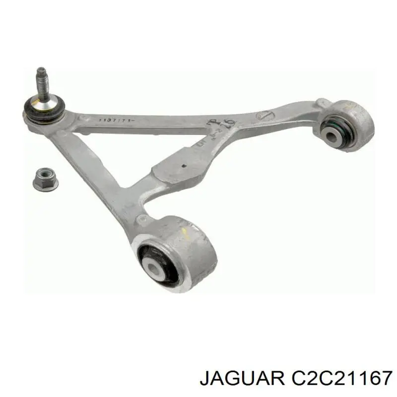 XR822290 Jaguar