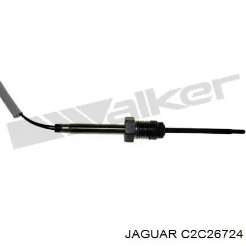 C2C36032 Jaguar
