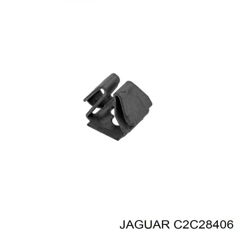  C2C28406 Jaguar