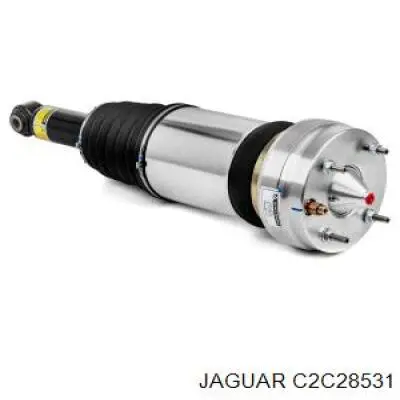 Амортизатор задний JAGUAR C2C28531