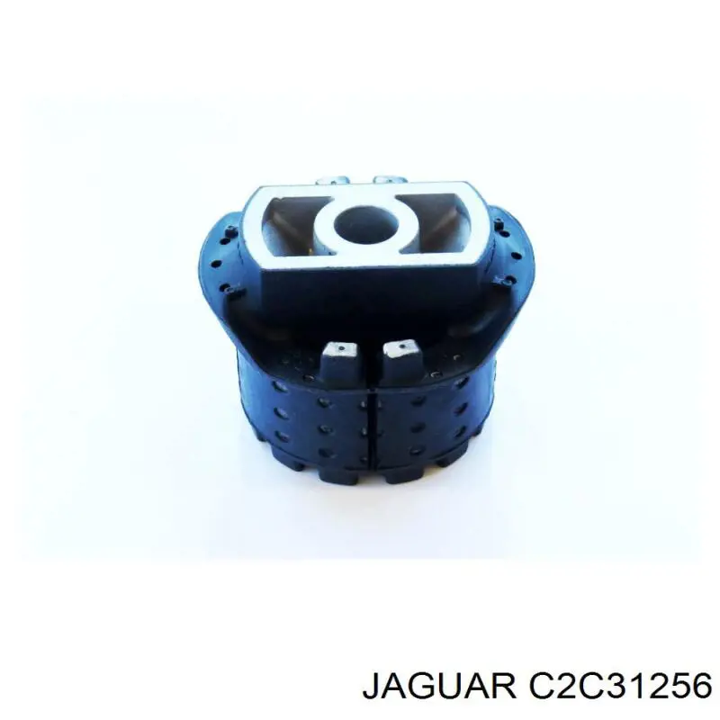  C2C31256 Jaguar