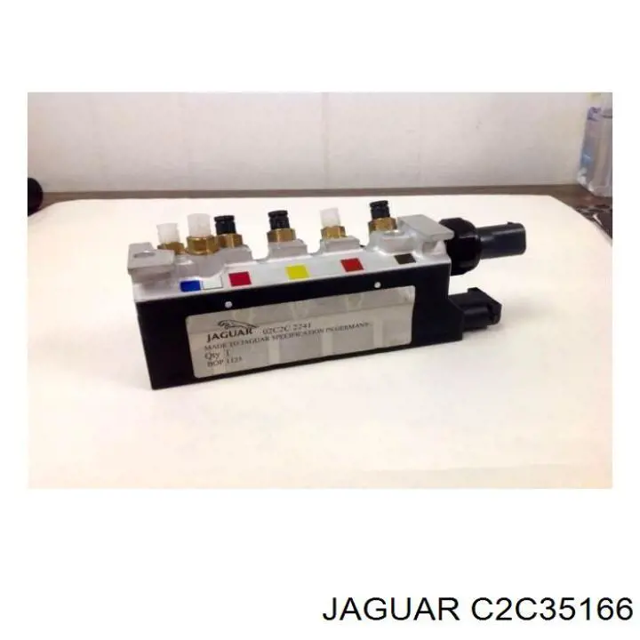  C2C2265 Jaguar