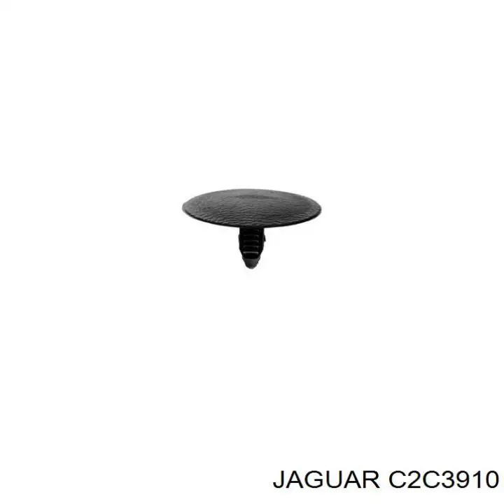 C2C3910 Jaguar 