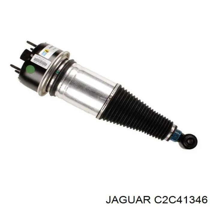 C2C41344 Jaguar 