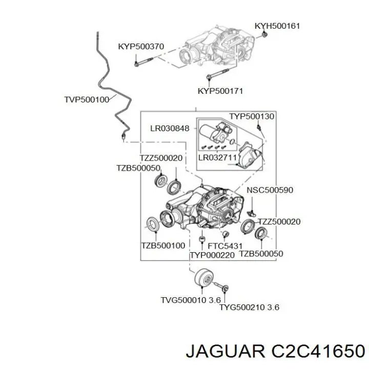 T4A48283 Jaguar 