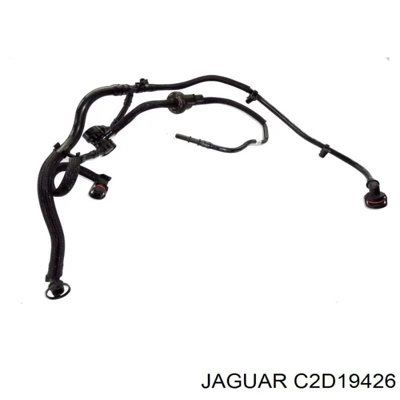 C2D19426 Jaguar 