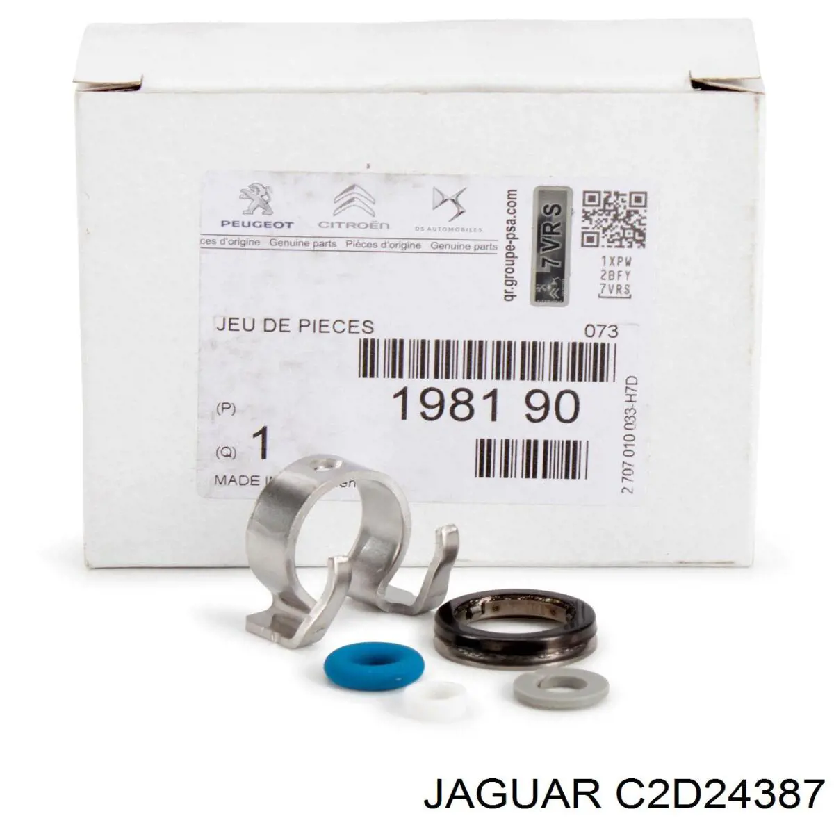 C2D24387 Jaguar